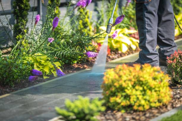 Best Warehouse Cleaning  in Clatskanie, OR