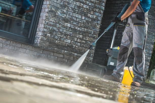 Best Roof Washing  in Clatskanie, OR