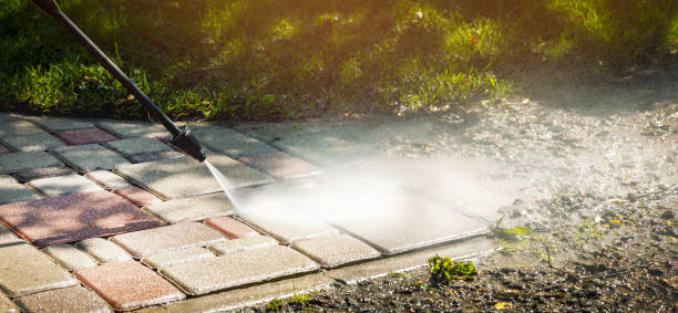 Best Animal Enclosure Cleaning  in Clatskanie, OR